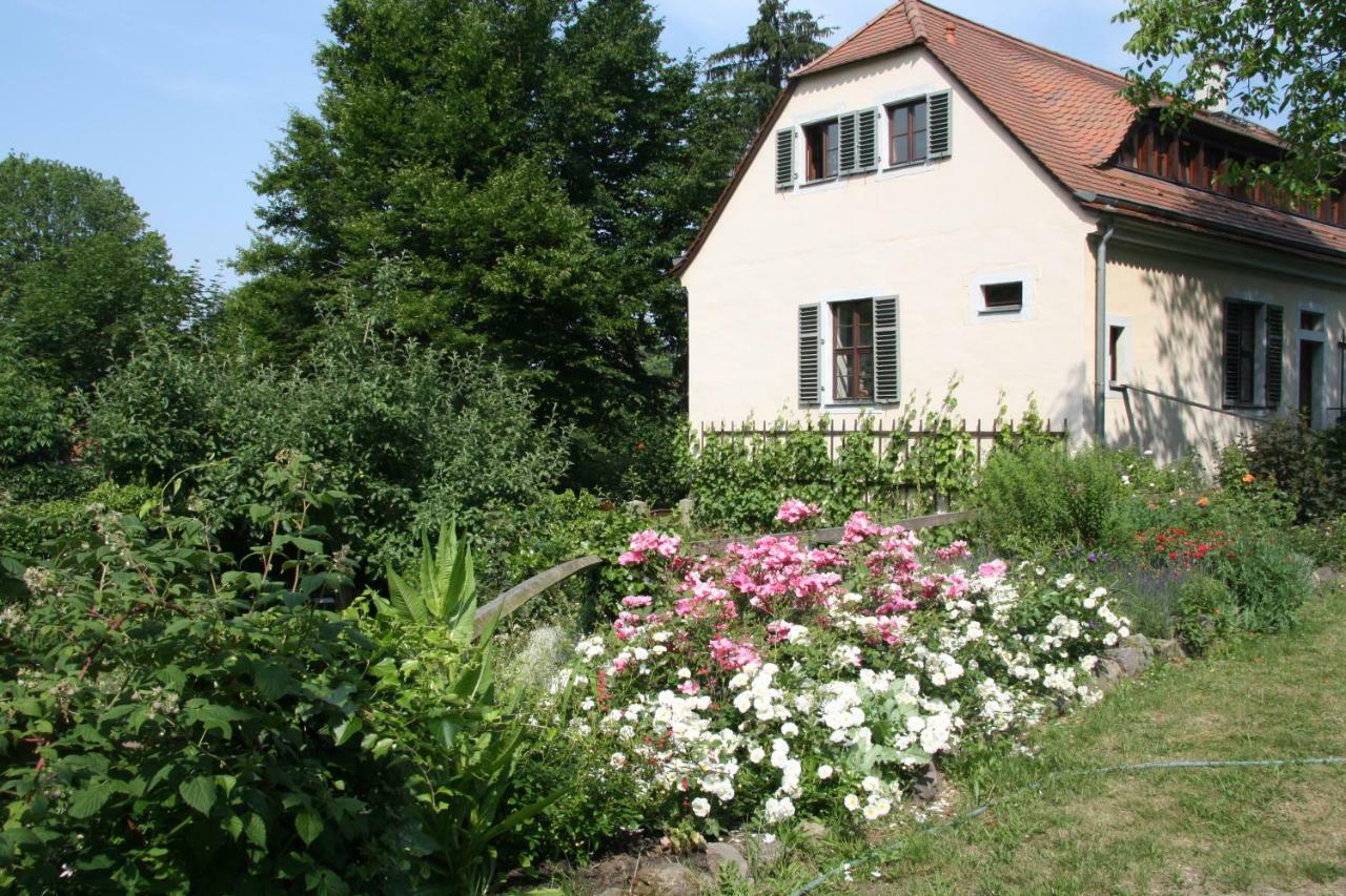 Poncet'Sches Herrenhaus Dresden Exteriör bild